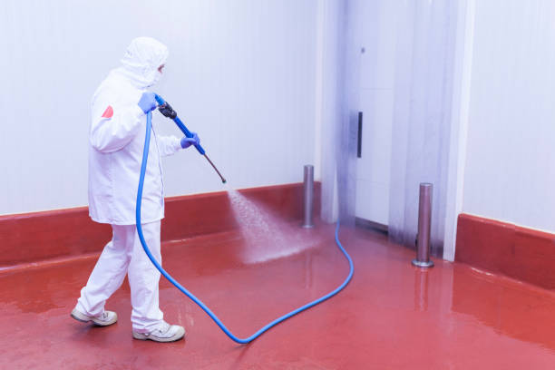 Trusted Ashland, CA Pressure Washing Services Experts